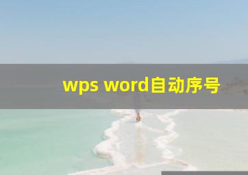 wps word自动序号